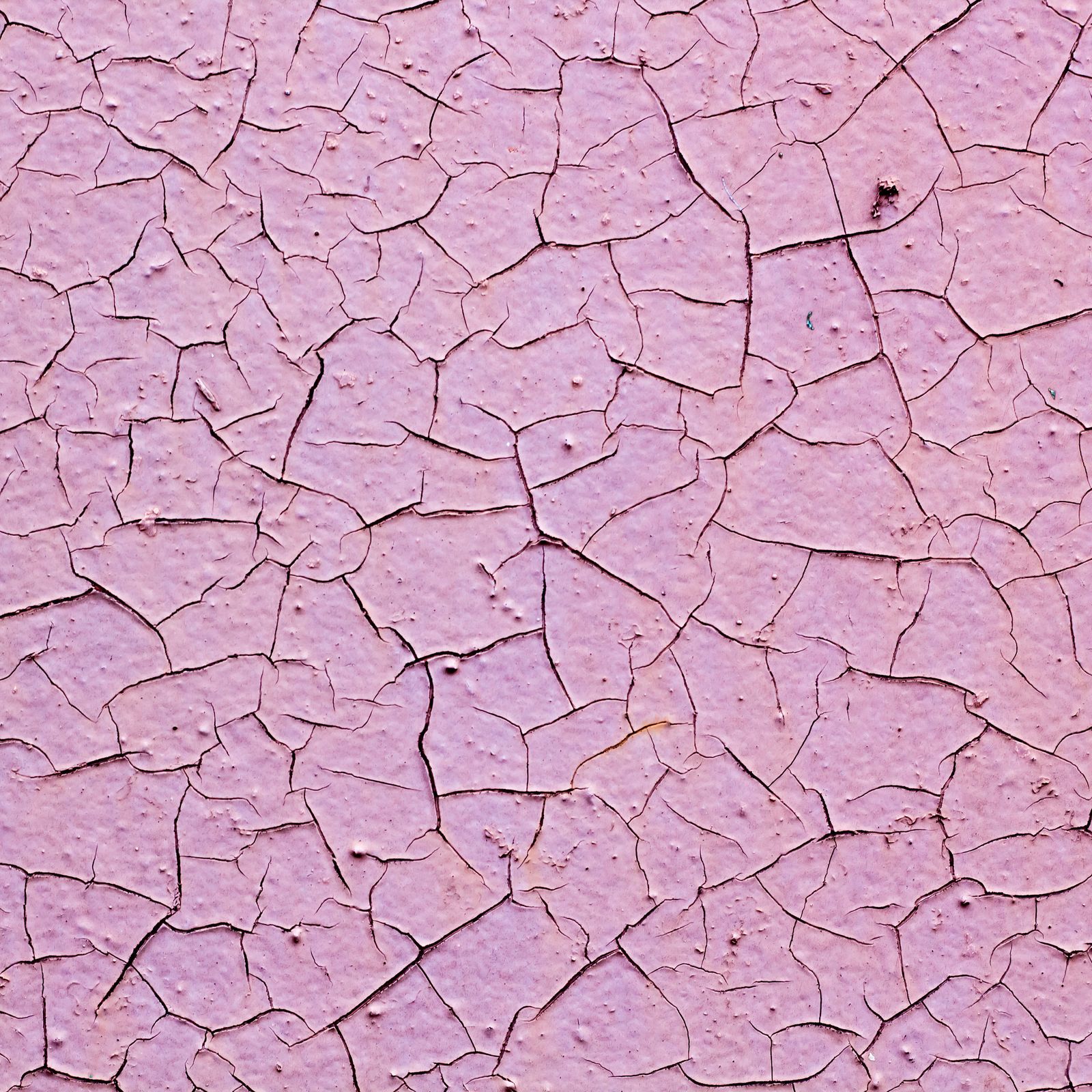 What’s the Difference Between Dry Skin and Dehydrated Skin?