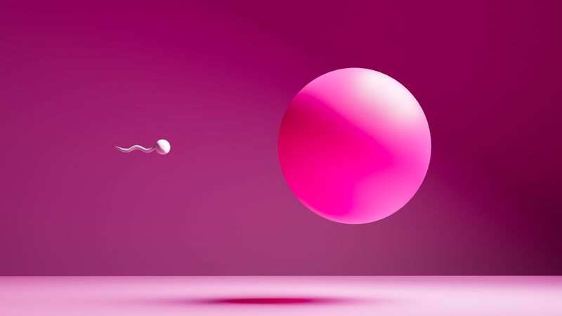 Can You Really Improve Your Egg Quality&-and Fertility&-With Lifestyle Changes?