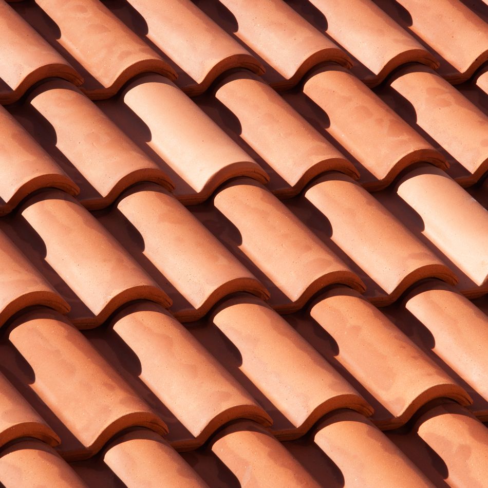 WTF Is Shingles, Actually?
